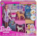 Mattel Barbie You Can Be Anything Set Clinica Veterinara Fast Cast cu Accesorii (MTJFX93) Papusa Barbie