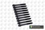 BGA Set surub, chiulasa BGA BK5335 (BK5335)