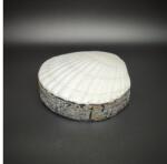 R. M. ékszer Kagyló alakú ékszertartó doboz fehér díszes tároló 10-11×10 cm (026037)