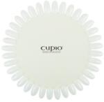 Cupio Paletar Cupio cu 36 pozitii