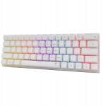 White Shark Mechanikus billentyűzet White Shark Wakizashi 2! Piros kapcsolós fehér Rgb (WAKIZASHI-2-US-W-RED.SW)