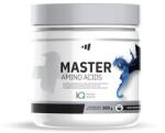 MM Supplements Master Amino - 300g Blue Dragon MM Supplements