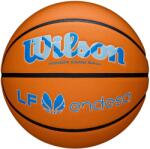 Wilson Evo NXT LF Endesa kosárlabda 6 barna