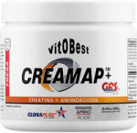 Vitobest Creamap® + GFS Aminos - 200g Strawberry VitoBest 200 G