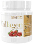 BIOGENIX Kollagén - 400g IO. Genix Fruit Punch 400 G
