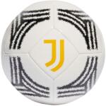 Juventus Fc Home Adidas Labdarúgás 5 fehér