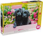 EUROGRAPHICS Puzzle Eurographics din 500 XXL de piese - Black Labs in Pink Box (65005462) Puzzle