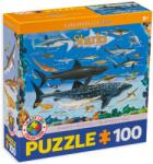 EUROGRAPHICS Puzzle Eurographics din 100 de piese - Rechini (61000079) Puzzle