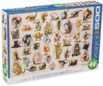 EUROGRAPHICS Puzzle Eurographics din 300 XXL de piese - Yoga pentru pisici (65000991) Puzzle