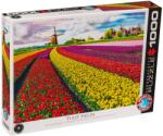 EUROGRAPHICS Puzzle Eurographics din 1000 de piese - Camp cu lalele (60005326) Puzzle