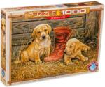 EUROGRAPHICS Puzzle Eurographics din 1000 de piese - Ceva vechi, ceva nou, Rozmari Millette (60000795) Puzzle