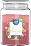 BISPOL Lumânare parfumată Bispol Aura - Fructe delicioase, 500 g (/snd99t-386)