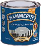 Hammerite Max Fémfesték 250 Ml Fényes, Ezüst, Hglmax025sg