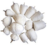 BGS technic Polírozó készlet 14 részes, 1/4" befogás (BGS 3995) (3995)