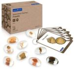 Guidecraft Specimen Stones, pietre din acril cu fosile (G301315)