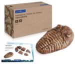 Guidecraft Fosile Trilobit, set magnetic 3D, Guidecraft (G300799)