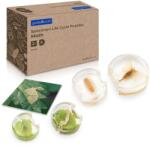 Guidecraft Ciclul de viata al moliei, cu piese acrilice, Guidecraft (G301328)