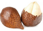  Fructul Sarpelui Cutie 500g Import Indonesia
