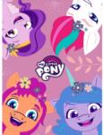 4-Home Carbotex Gyermek takaró My little Pony Játékos pónik, 110 x 140 cm