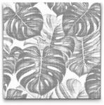  PontPöttyöző - Monstera Méret: 50x50cm, Keretezés: Kartonlemezen, Szín: Fekete