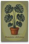 Festés számok szerint - Monstera deliciosa Méret: 40x60cm, Keretezés: Keret nélkül (csak a vászon)