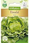 Chrestensen Semințe de salată iceberg Stylist (78762)