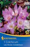 kiepenkerl Brândușe de toamnă Lilac Wonder (509849)