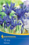 kiepenkerl Iris Harmony (507630)