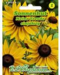 Chrestensen Semințe de rudbeckia (Bulgări de soare) My Joy (96442)