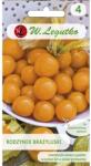 Legutko Semințe de physalis (Cireșe de pământ) (96811)