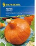 kiepenkerl Semințe de dovleac Uchiki Kuri F1 (86473)