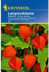 kiepenkerl Semințe de physalis Gigantea (96630)