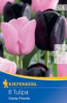 kiepenkerl Lalele Candy Friends (506091)