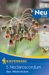 kiepenkerl Allium Nectaroscordum (507913)