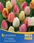 kiepenkerl Mega Pack Pastell mix multicolor (508514)