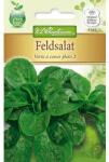 Chrestensen Semințe de salată de câmp (Fetică) Verte a couer plein 2 (78766)