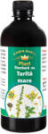 Ambro Plant Tinctură de turiță mare (3053)