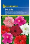 kiepenkerl Semințe de petunie pentru balcon, mix multicolor (86298)
