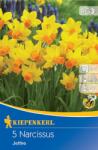 kiepenkerl Narcise Jetfire (502512)