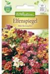 Chrestensen Semințe de nemesia strumosa, mix multicolor (78925)