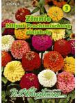 Chrestensen Semințe de zinnia (Cârciumăreasă) mix multicolor (87823)