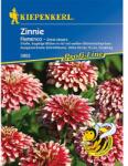 kiepenkerl Semințe de zinnia (Cârciumăreasă) Flamenco (86359)