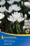 kiepenkerl Brândușe Jeanne d`Arc (506756)