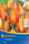 kiepenkerl Lalele Flair (507807)