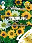 Chrestensen Semințe de floare soarelui decorativă Little Star (86189)