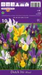 kiepenkerl Iris olandez mix multicolor (37179)