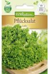 Chrestensen Semințe de salată Lollo (78778)