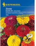 kiepenkerl Semințe de zinnia (Cârciumăreasă) Espana, mix multicolor (77438)