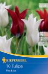 kiepenkerl Lalele Fire and Ice (507081)