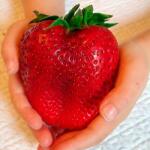 SuperStrawberry Căpşuni Gigantella (5401)